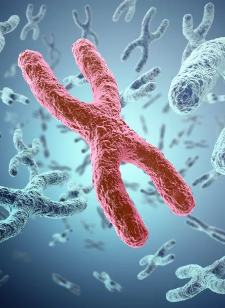 a red chromosome among a sea of blue