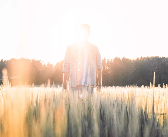 man in field at sunrise