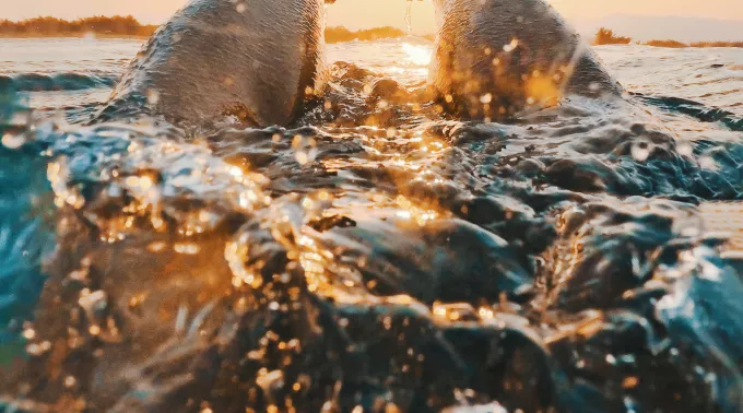 feet diving into water