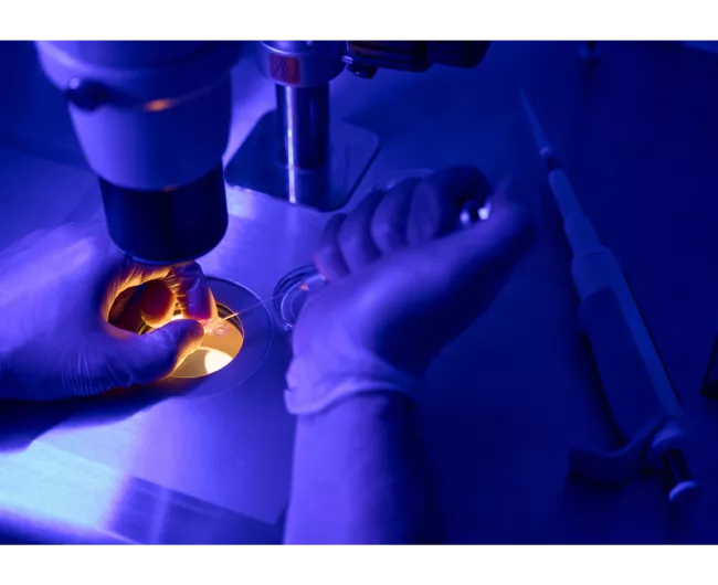 biopsy