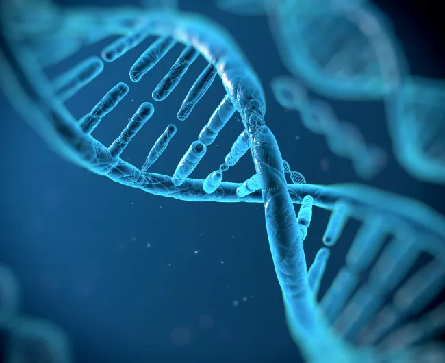 dna image