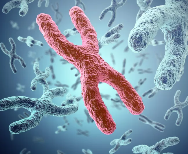 a red chromosome among a sea of blue